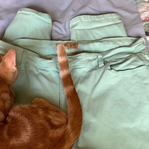 Hybrid Apparel Mint-Green Pants